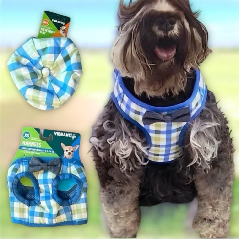 Vibrant Life Dog Plaid Bow Tie Harness